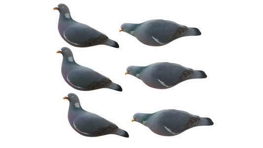 FA-195004 LAST PASS PIGEON FULLY FLOCKED DECOYS - 6 PACK