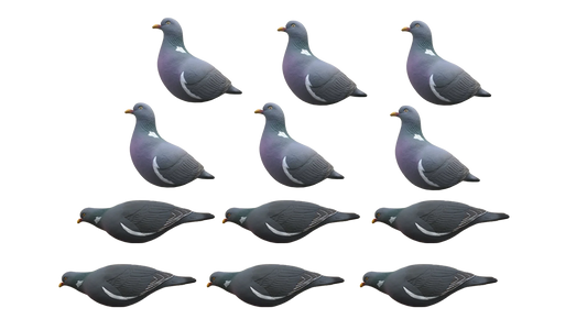 FA-195003 LAST PASS PIGEON DECOYS - 12 PACK