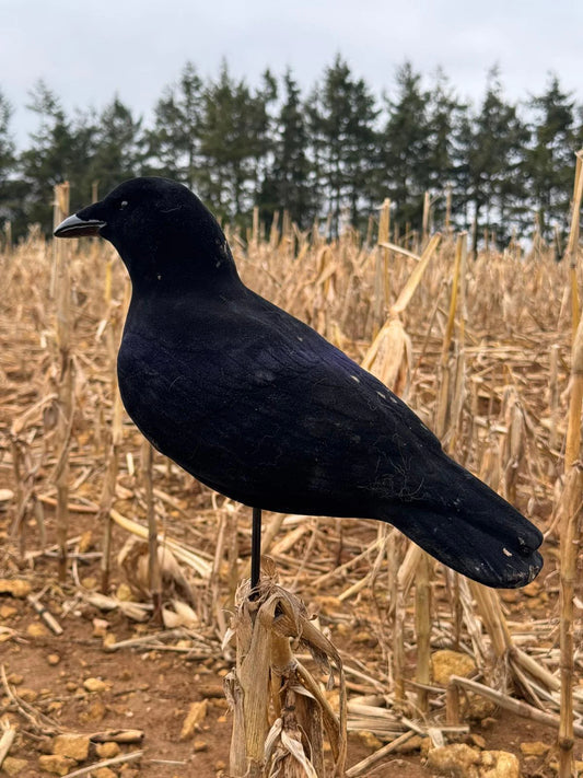 FA-194002 LAST PASS FULLY FLOCKED CROW DECOYS - 3 PACK