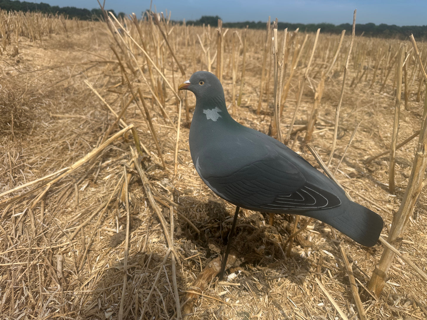 FA-195004 LAST PASS PIGEON FULLY FLOCKED DECOYS - 6 PACK