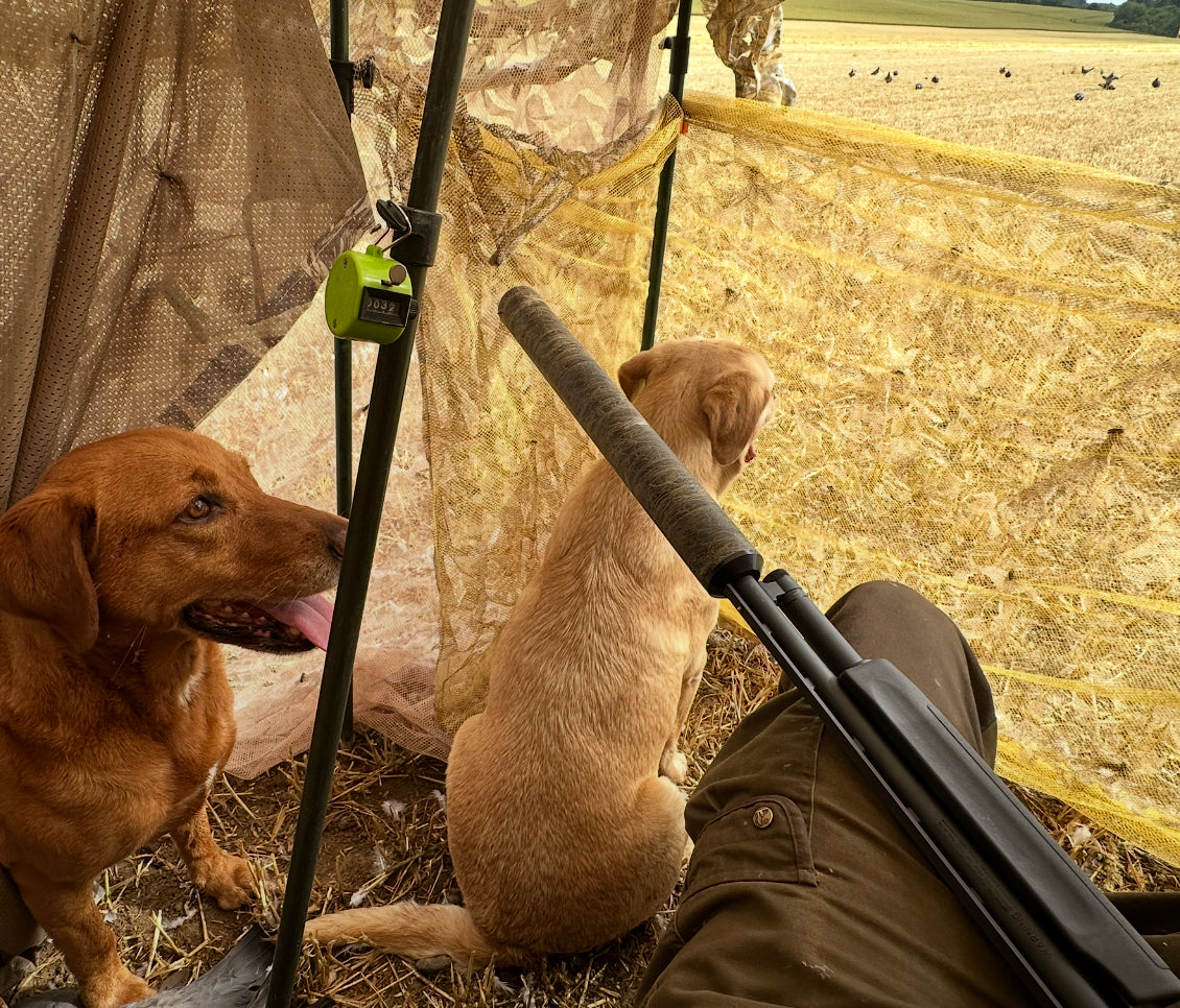 Stealth 2-ply harvest-reed camouflage hide net 4mx1.5m (Hunting Shooting Blind)