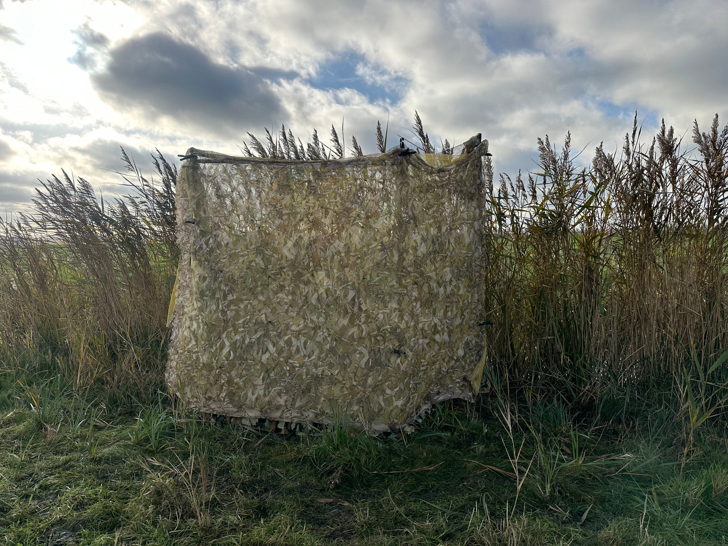 Stealth 2-ply harvest-reed camouflage hide net 4mx1.5m (Hunting Shooting Blind)